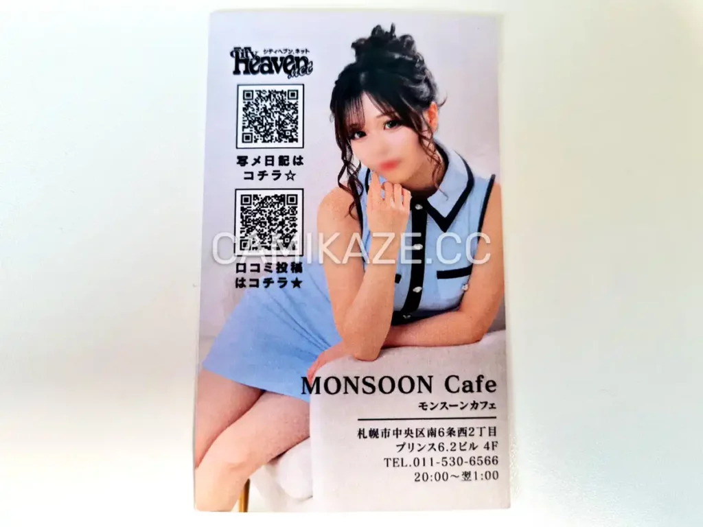 monsoon sapporo business card of noa