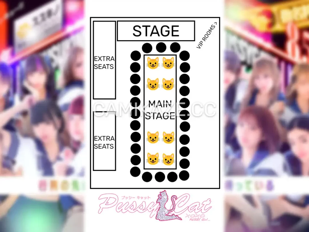 pussy cat sapporo instore layout